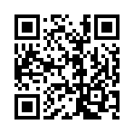 QR код для подключения через МАХ